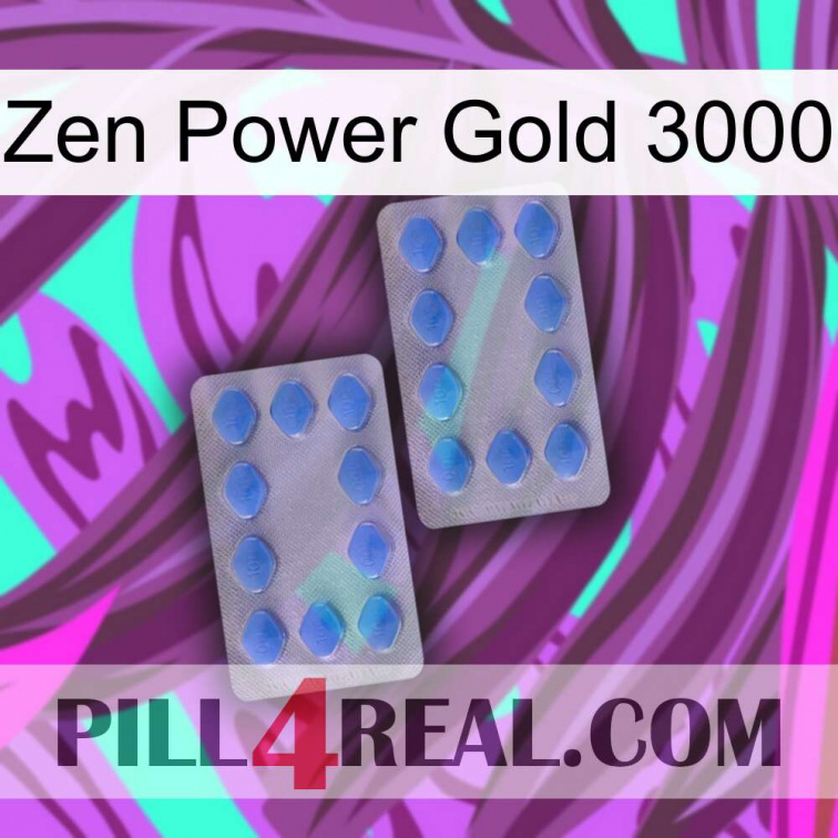 Zen Power Gold 3000 20